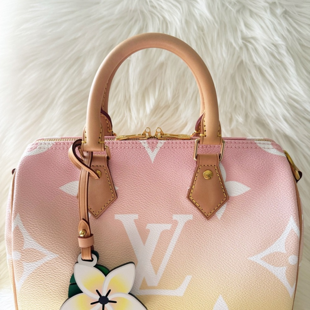 NIB Louis Vuitton Speedy 25 By The Pool Bandouliere Crossbody Special Edition - Picture 8 of 16